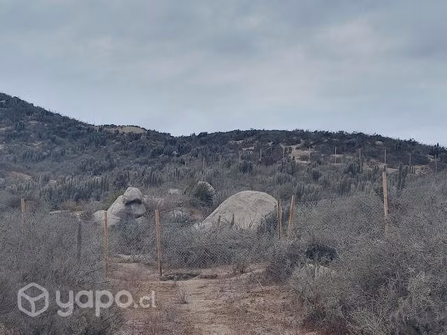 Parcela 5300 mts2