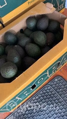 Palta Hass - Delivery
