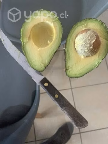 Palta Hass - Delivery