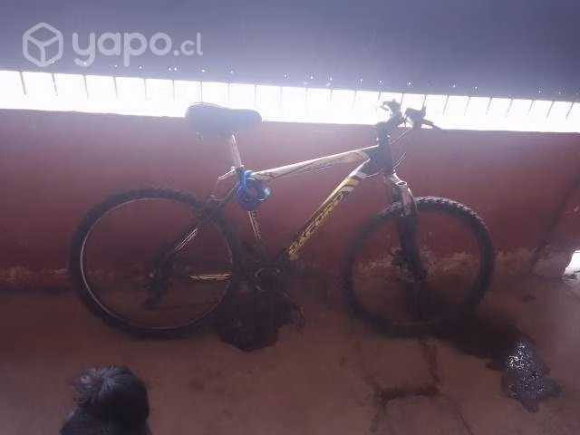 bicicleta - Imagen 4