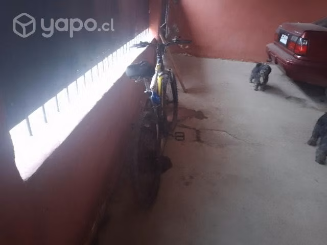 bicicleta