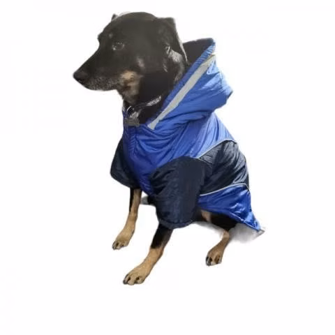 Impermeables para perros
