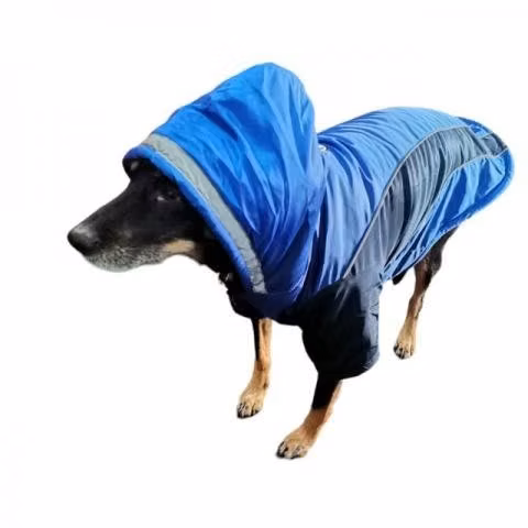 Impermeables para perros