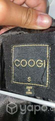 Chaqueta coogi precio conversable - Imagen 3