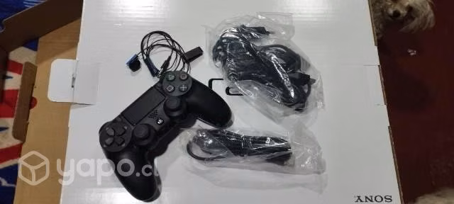 Play 4