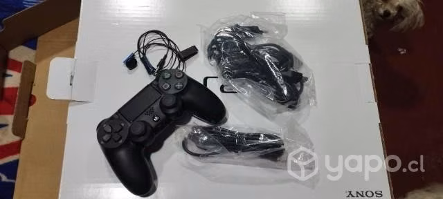 Play 4