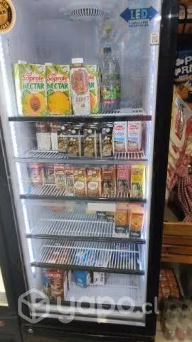 Cooler de bebidas 1 puerta