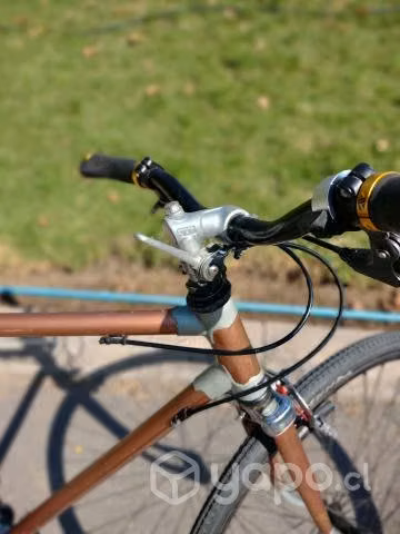 Bicicleta Fixie