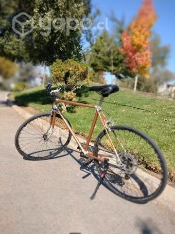 Bicicleta Fixie
