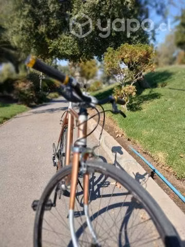 Bicicleta Fixie