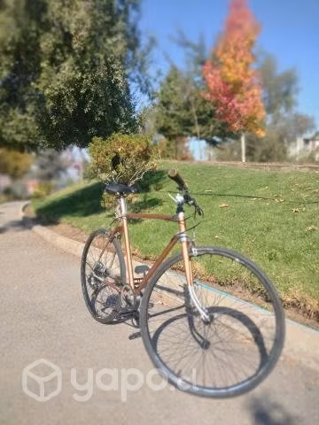 Bicicleta Fixie