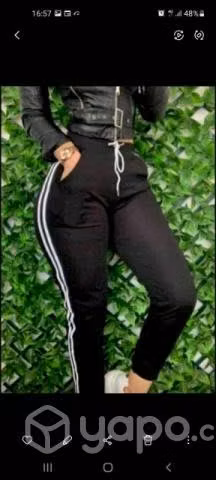 Jogger colores lila