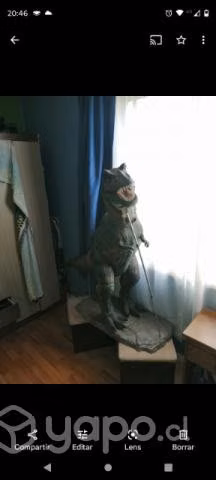 T rex 1.2 metros