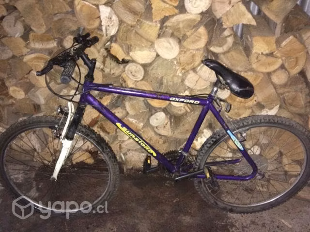 Bicicleta oxford