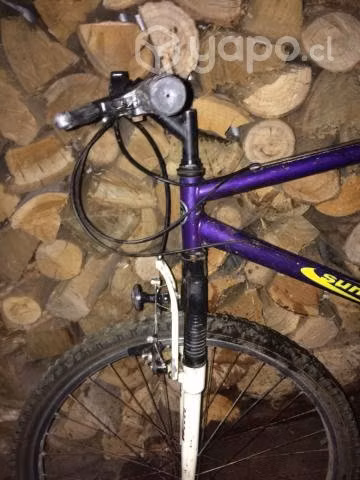 Bicicleta oxford