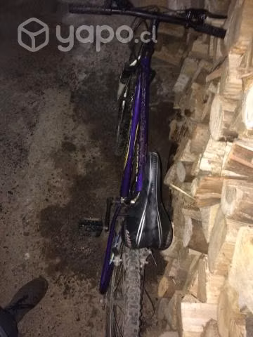 Bicicleta oxford