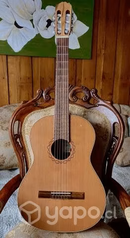 Hermosa guitarra Raimundo