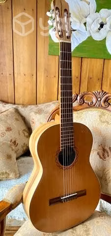 Hermosa guitarra Raimundo