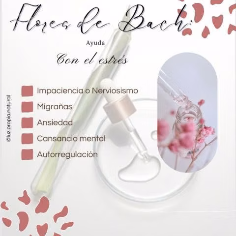 Flores de Bach gotario 30 ml