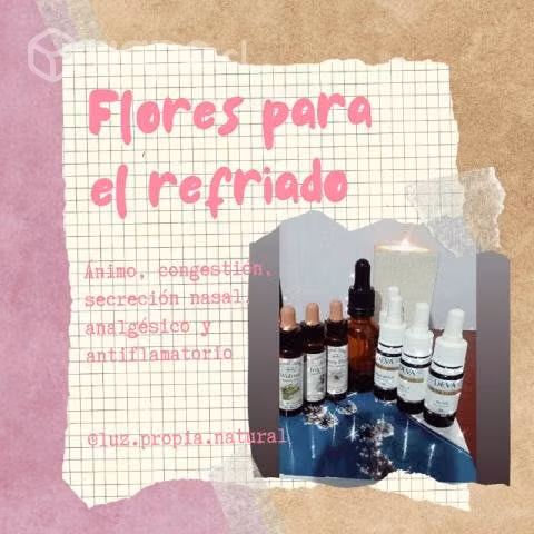 Flores de Bach gotario 30 ml