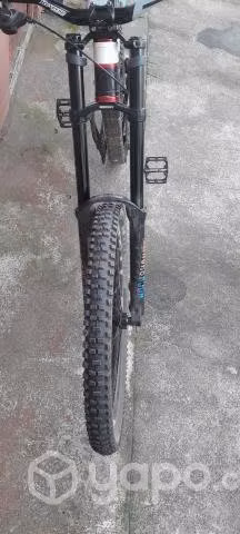 Horquilla downhill