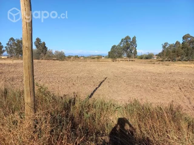 terreno en pelarco - Imagen 4