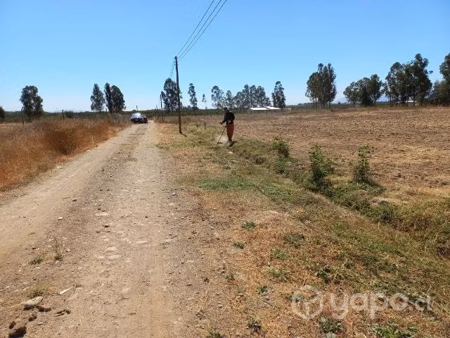terreno en pelarco - Imagen 3