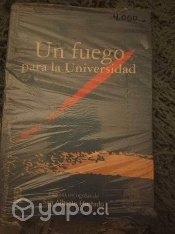Un fuego para la Universidad San Alberto Hurtado