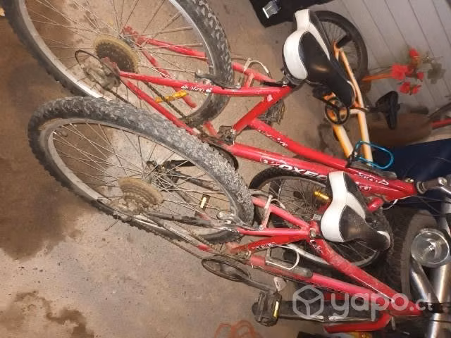 2 Bicicletas - Imagen 2