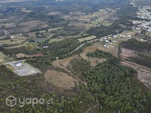 Campo en la isla de Chiloe, Butalcura alto