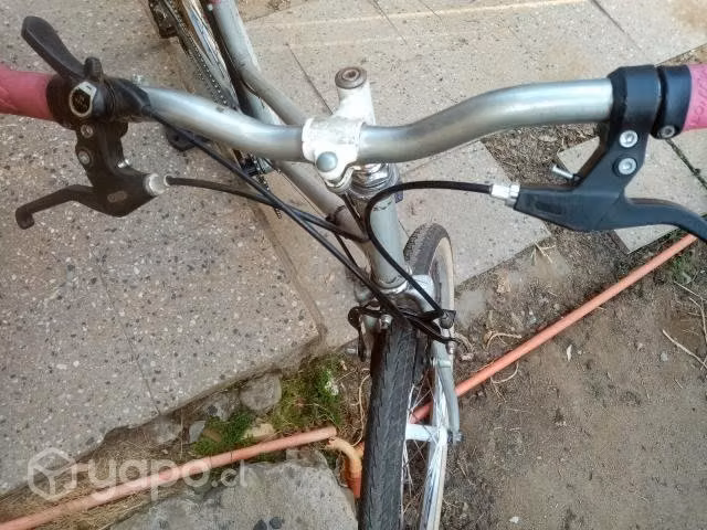 Bicicleta Urbana para Dama