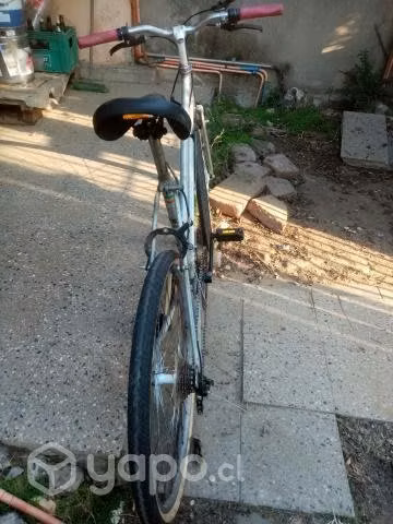 Bicicleta Urbana para Dama