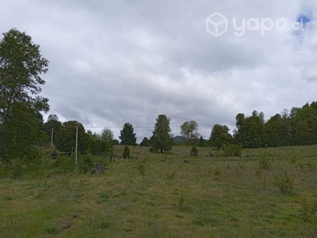 Terreno