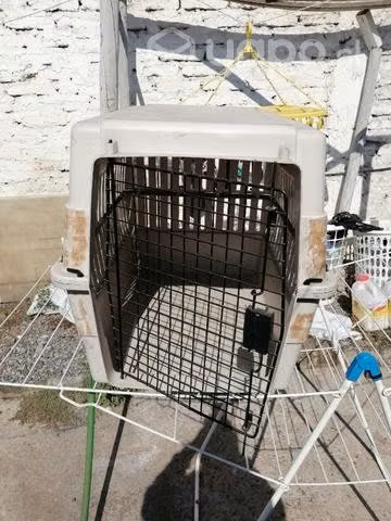 Caja de transporte animales