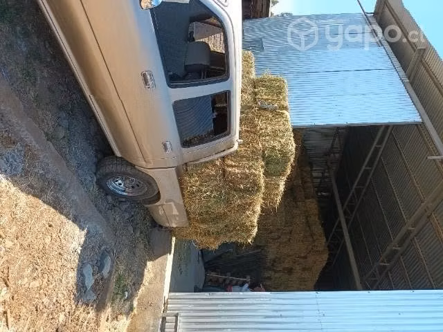 Fardos de alfalfa