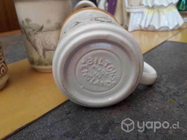 Porcelanas