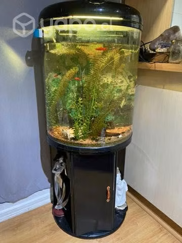 Pescera automática semi nueva incluye mueble - Imagen 4