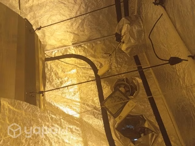 Indoor completo 240x120 de 600w