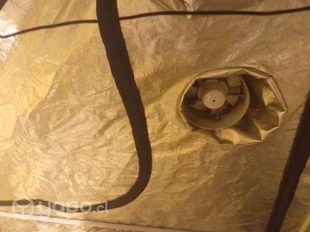 Indoor completo 240x120 de 600w