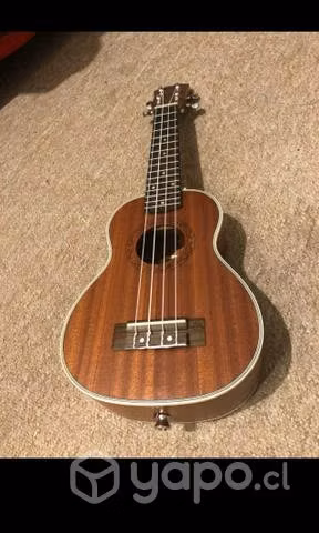 Ukelele sin detalles muy poco conversable