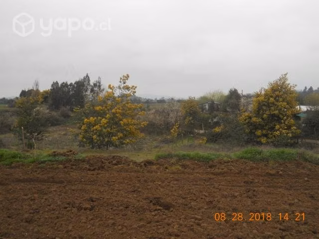 Exclusiva parcela sector alta plusvalía