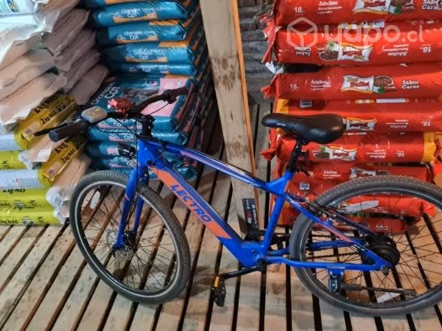 Bicicleta eléctrica - Imagen 2