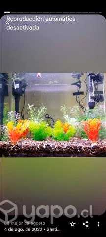 Pecera con mesa - Imagen 4