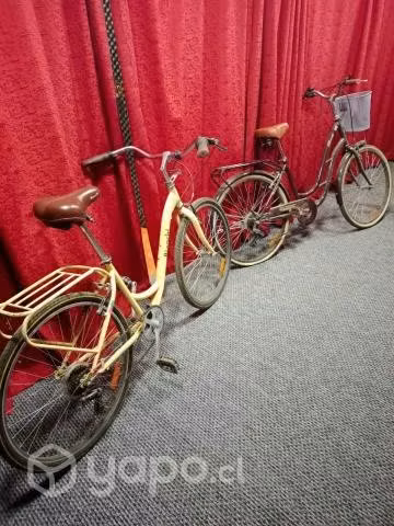 Bicicletas de paseo