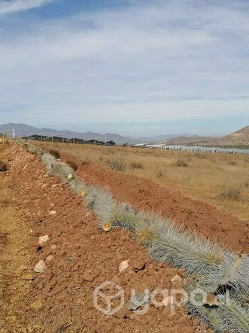 Parcela 5.000 m2