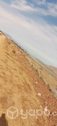 Parcela 5.000 m2