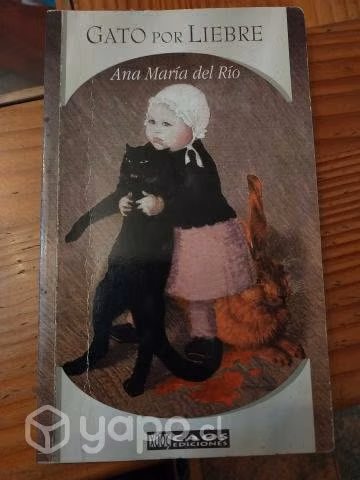 Gato por liebre (Ana Maria del Rio)