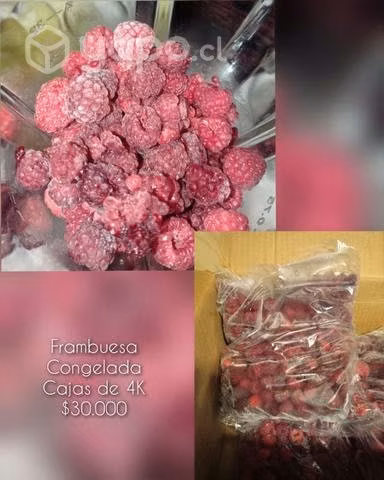 Productos congelados (Frambuesa y Choritos)