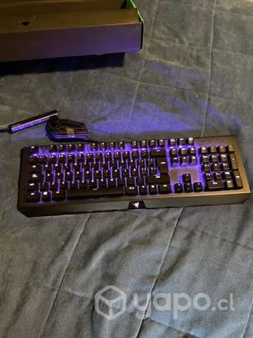 Teclado Gamer Razer Blackwidod X Chroma - Imagen 4