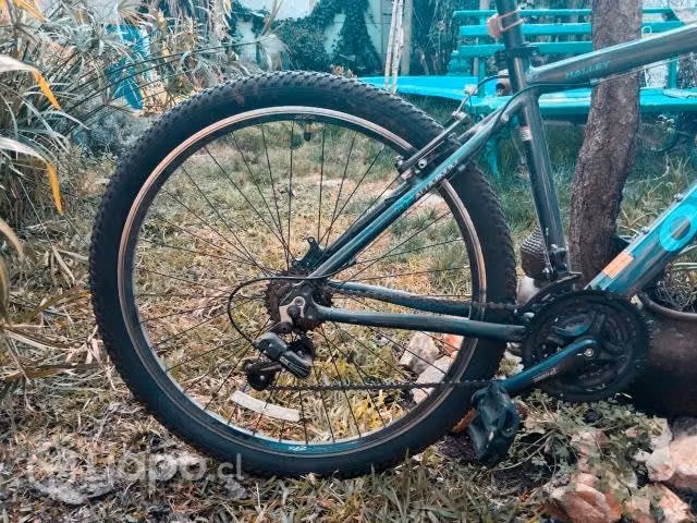 Bicicleta